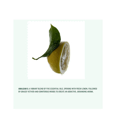 Amalgam 5 Hand Cream