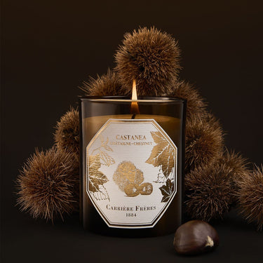 Chestnut Candle