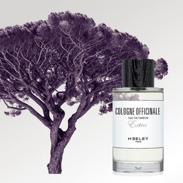 Cologne Officinale