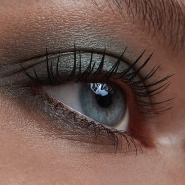 IMBE Eye Shadow 8 Pine