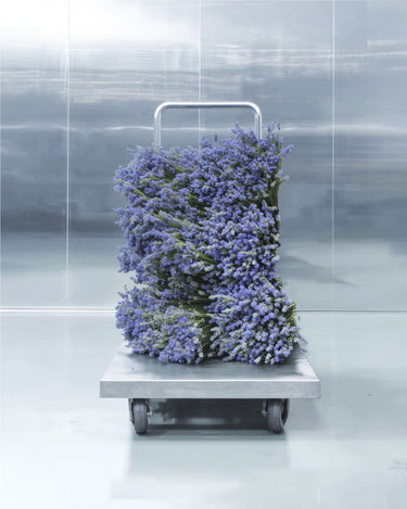 Metal Lavender