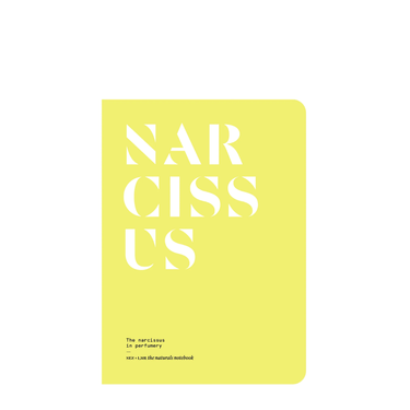 Narcissus in Perfumery