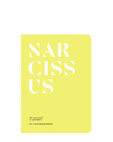 Narcissus in Perfumery