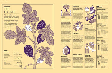 Nez Magazine #10 | From the Nose to the Mouth