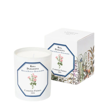 Rosa Damascena