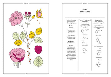 The Naturals Notebook | Rose