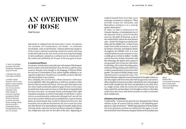 The Naturals Notebook | Rose