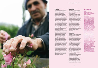 The Naturals Notebook | Rose